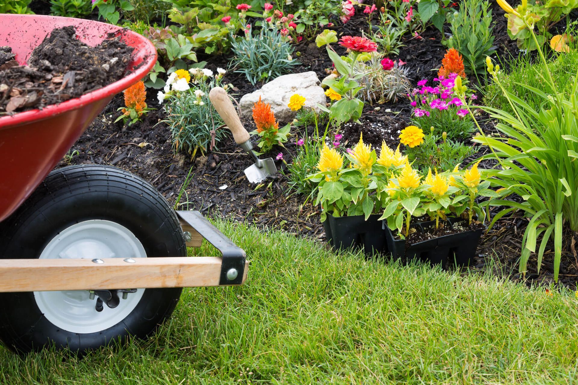 a wheelbarrow full of dirt and a shovel in a garden