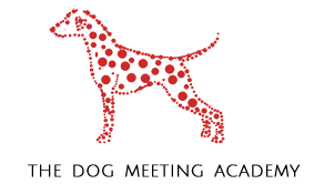 The Dog Meeting Academy
