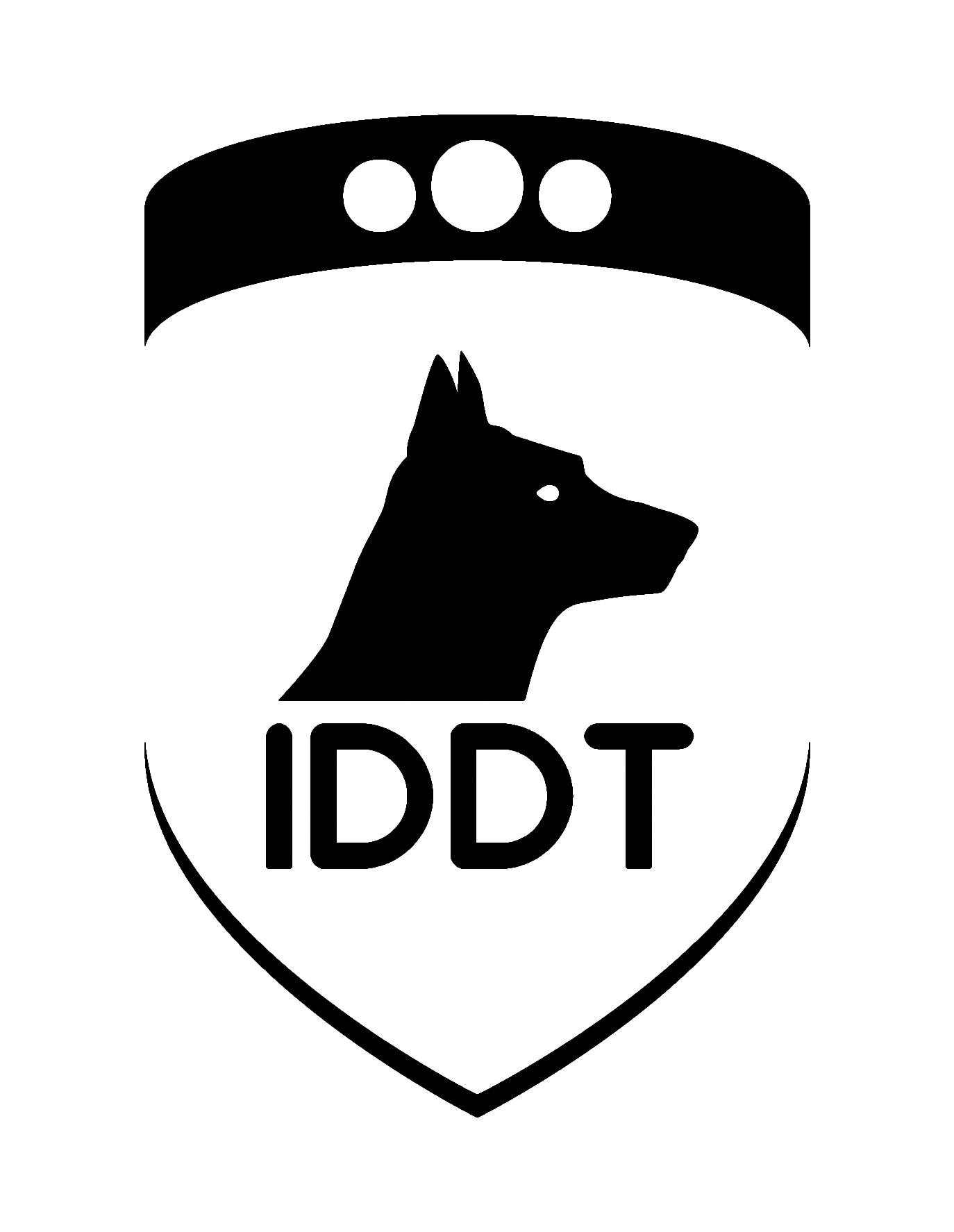 logo IDDT Group