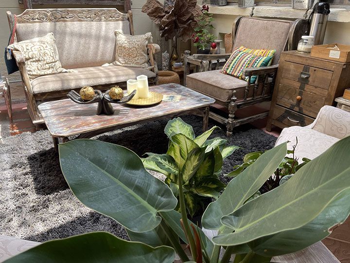 Una sala de estar con sofá, silla, mesa de café y plantas.