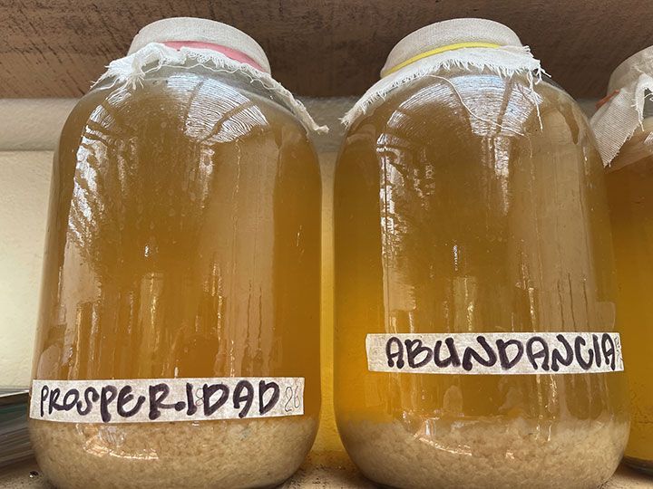 Dos frascos de líquido están colocados uno al lado del otro en un estante.