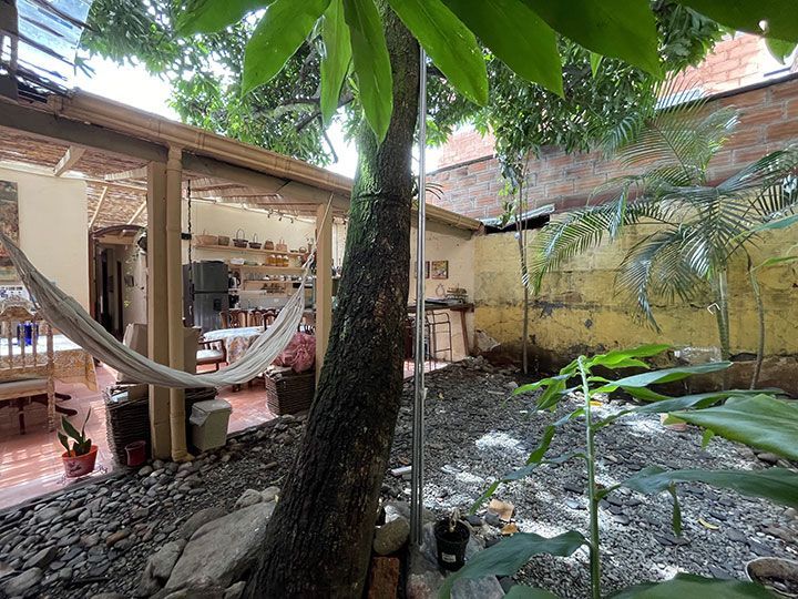 Una hamaca cuelga de un árbol en el patio trasero de una casa.