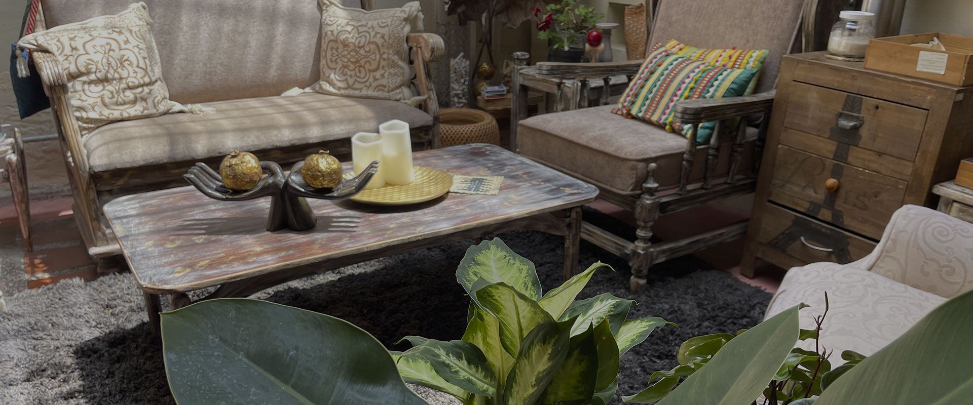 Una sala de estar con un sofá, sillas, una mesa de café y una planta.