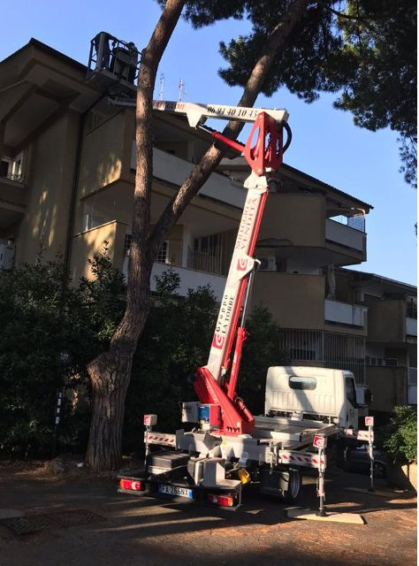 carrelli per taglio alberi