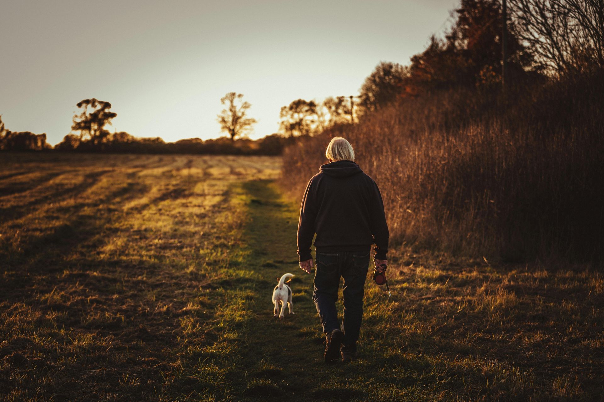 A man is walking a dog on a leash in a field.