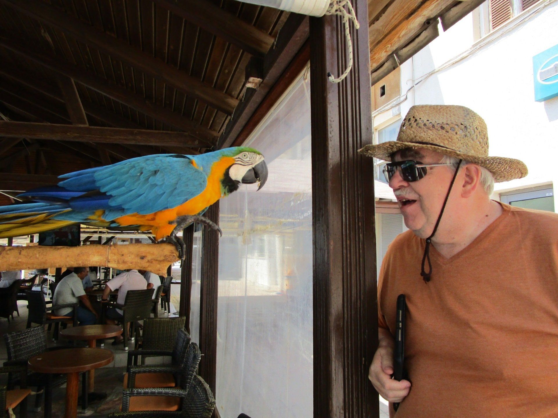 A man standing next to a blue and yellow parrot