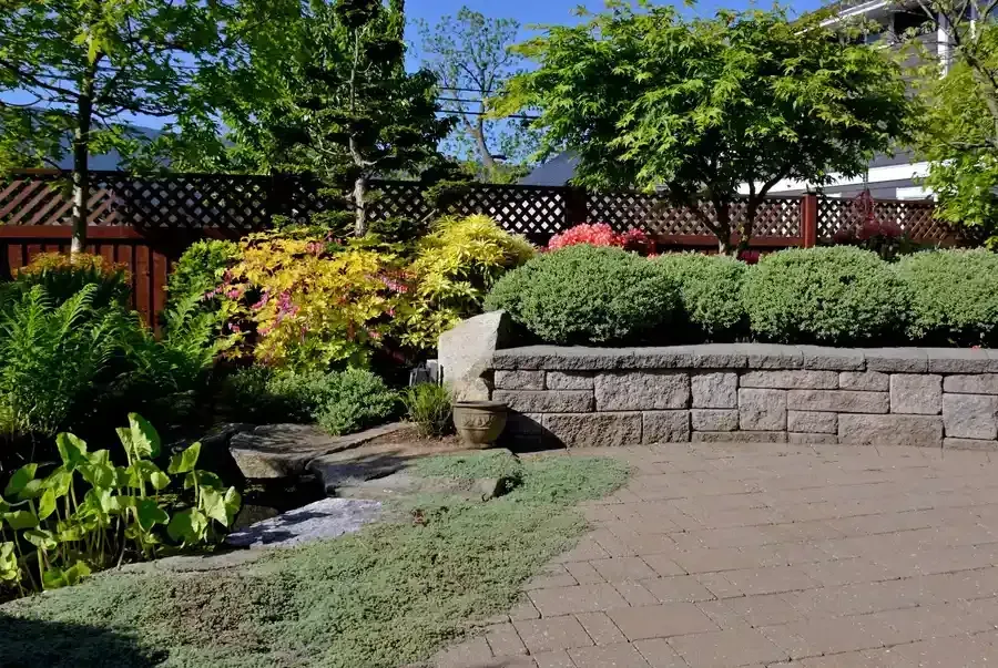 Sunny landscaped garden with stone retaining wall, shrubs, trees, and paved patio path