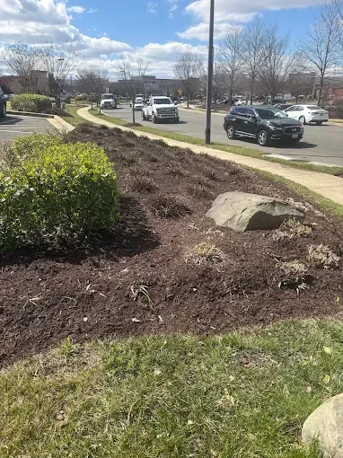 Landscaped roadside with mulch, shrubs, rocks, and parked cars under a bright sky