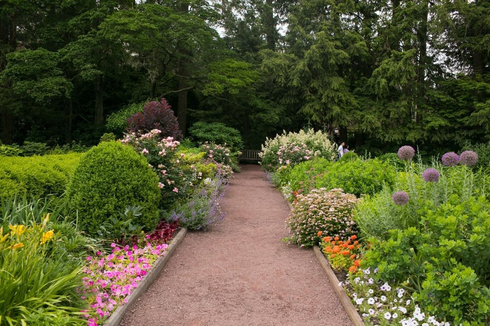 Garden path lined with colorful flowers and lush greenery