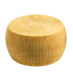forma di parmigiano reggiano
