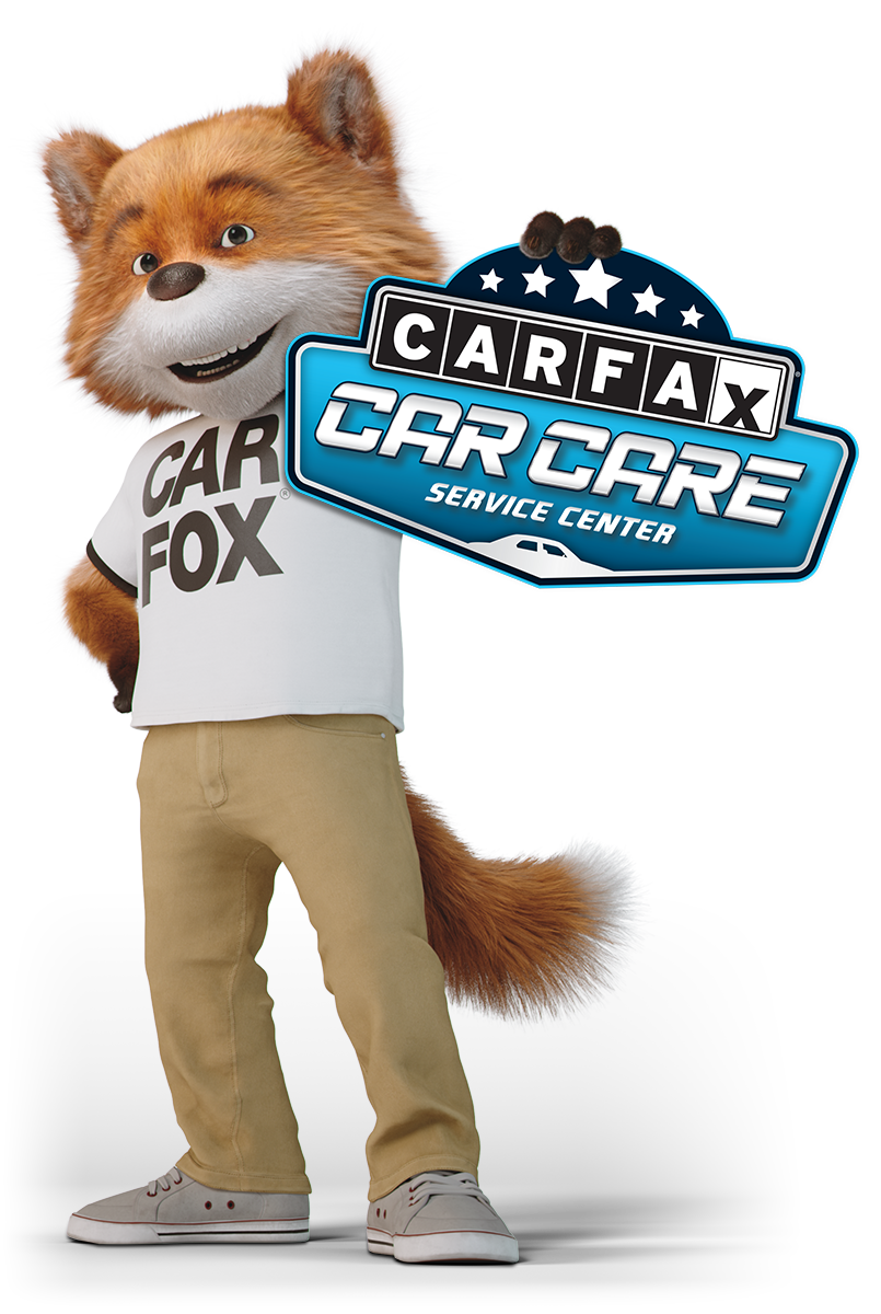 Car Fox holding a