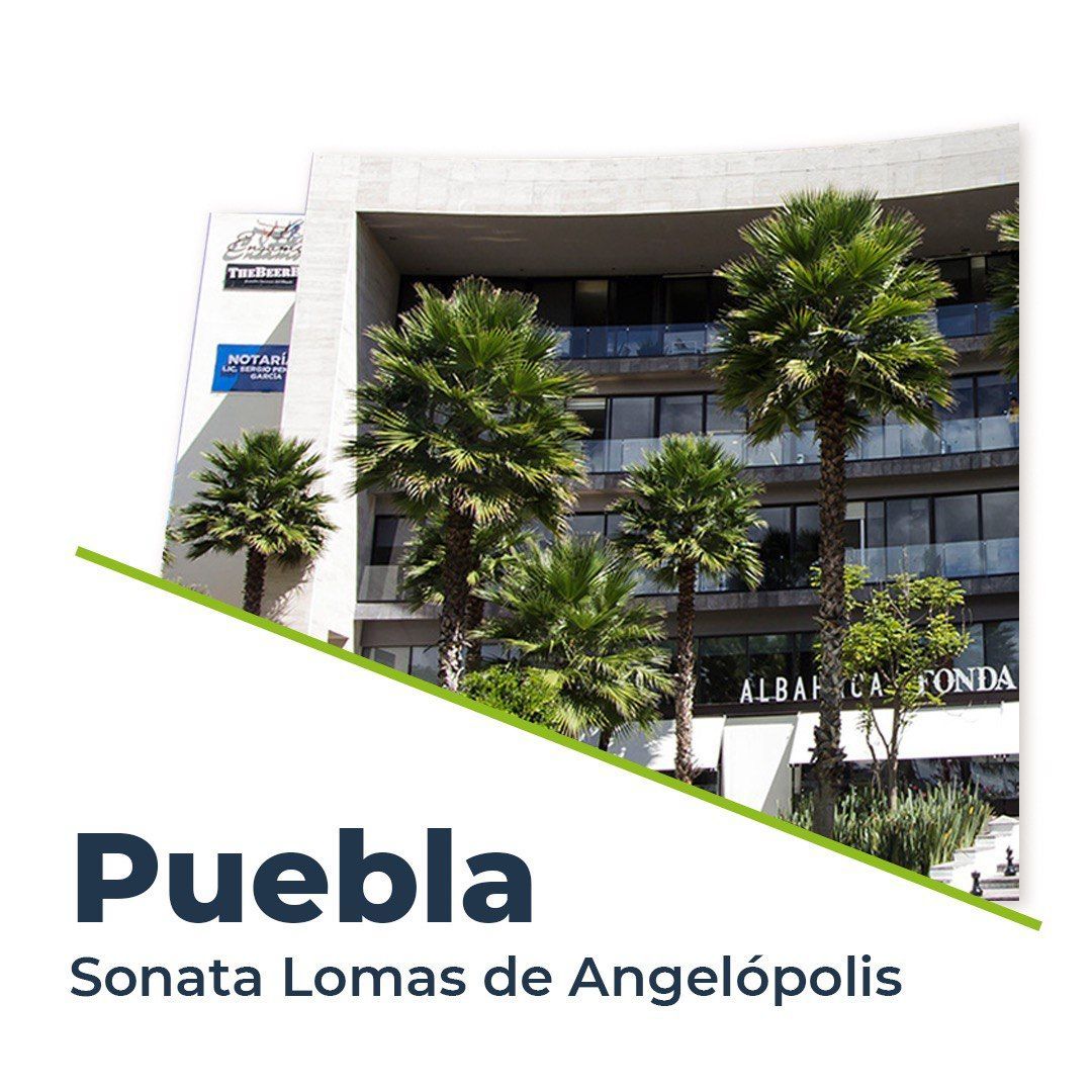 Modern building with palm trees in Puebla, Sonata Lomas de Angelópolis.