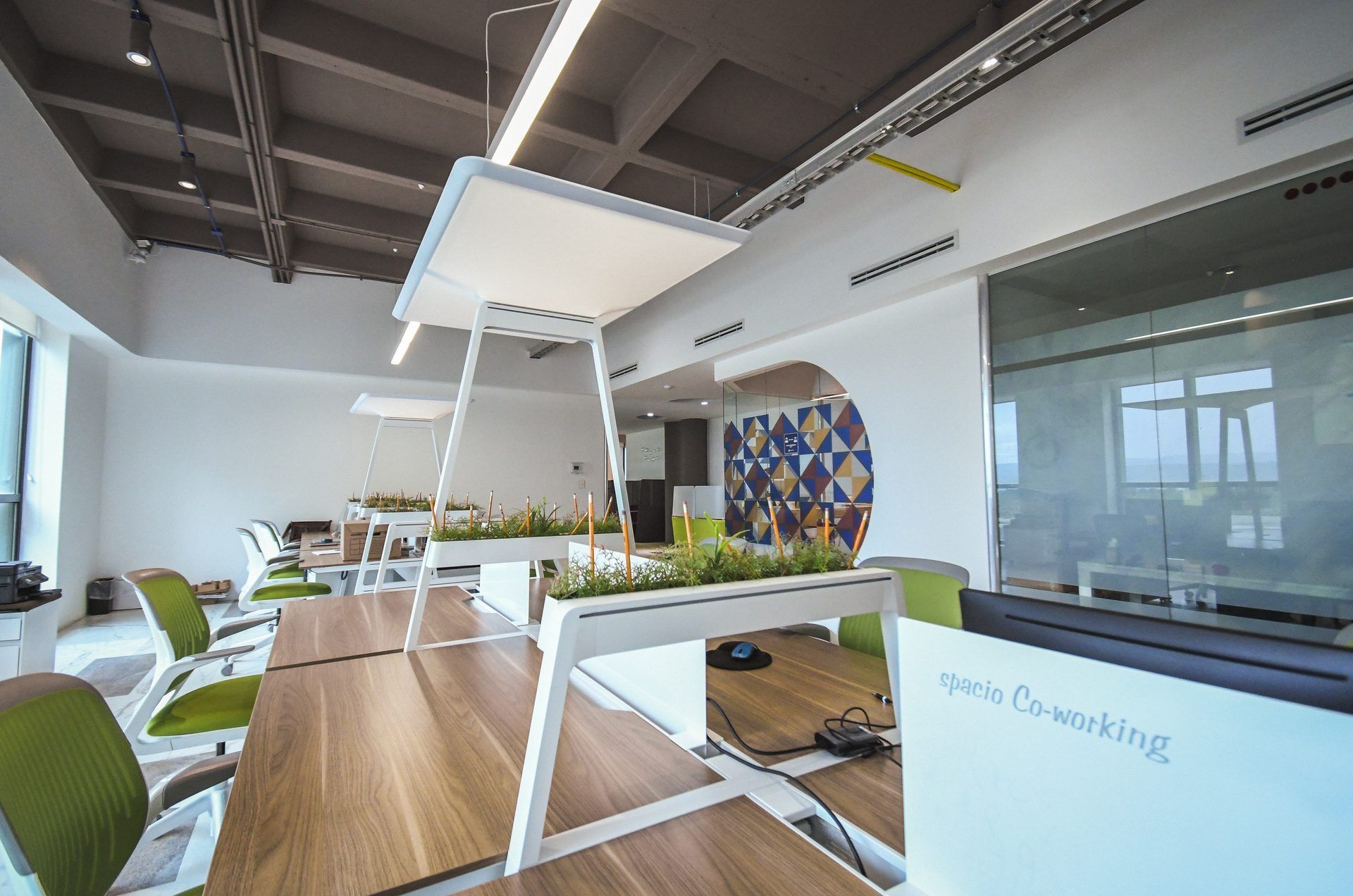 Espacio de coworking moderno con escritorios largos de madera, sillas verdes y separadores con plantas. Decoración en blanco y gris.