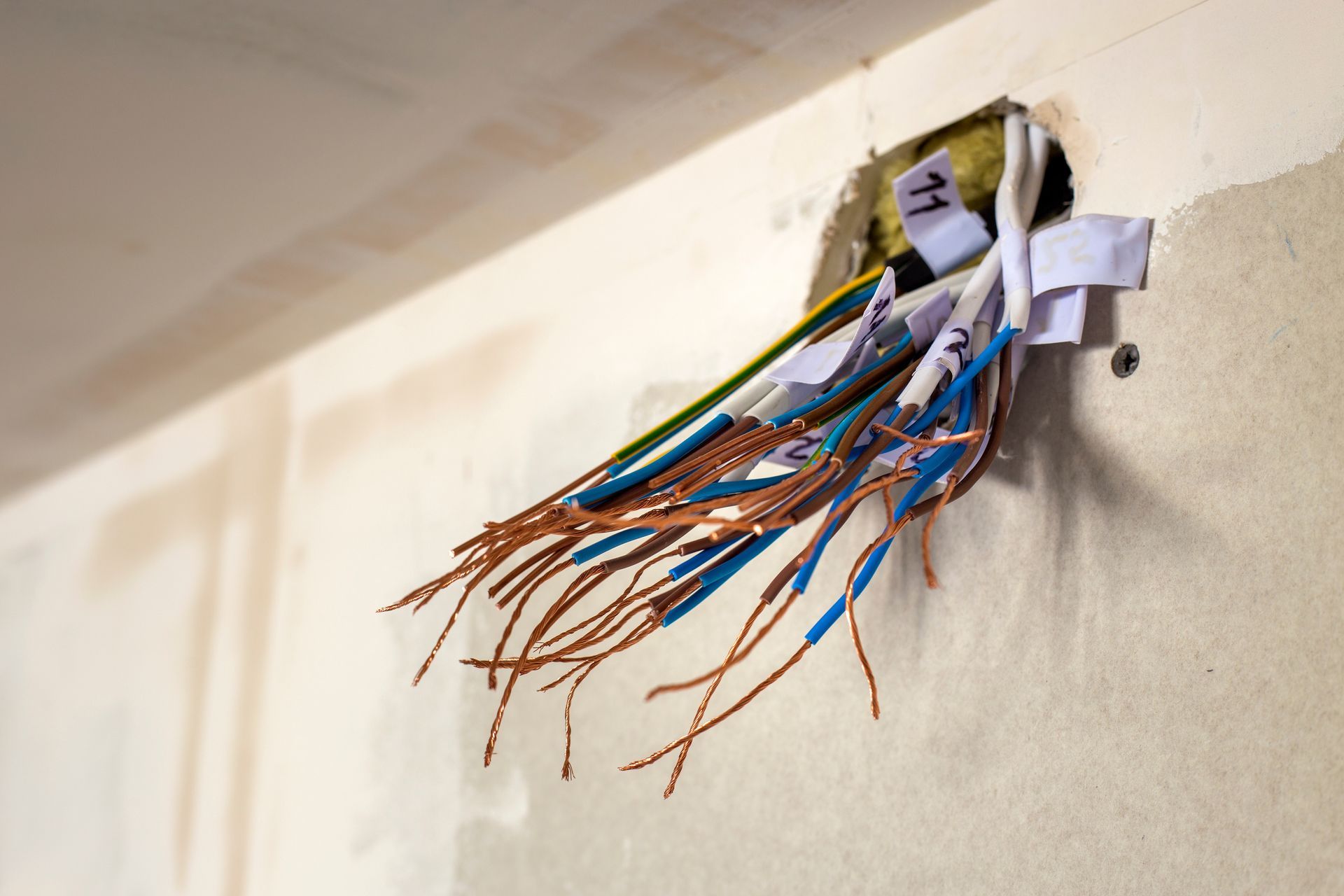 Exposed electrical wires emerging from a wall opening, including green, blue, and copper wires.