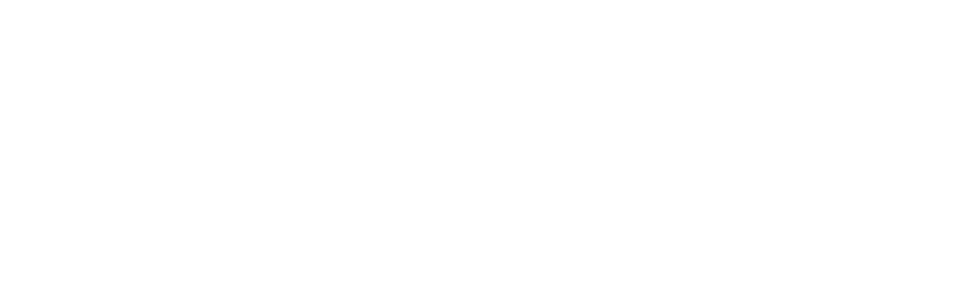 Hyport Logo