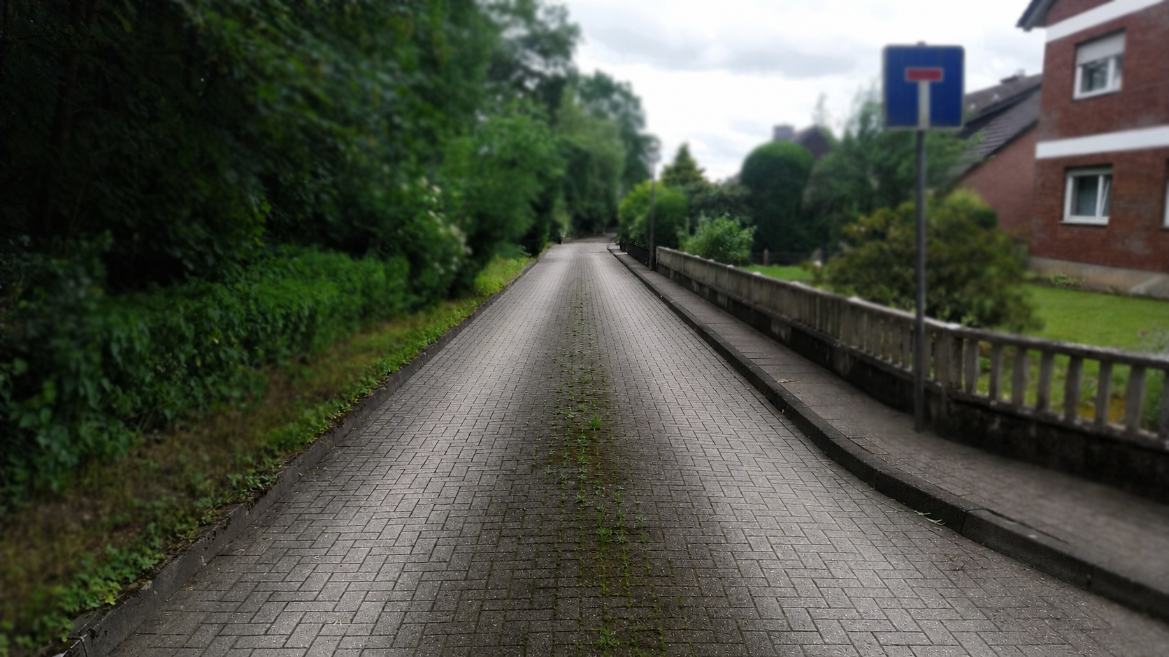 Reifenabrieb ist wie Fegen, es bilden sich keine Flechten, Schwarzalgen und Unkraut in den Fugen...
