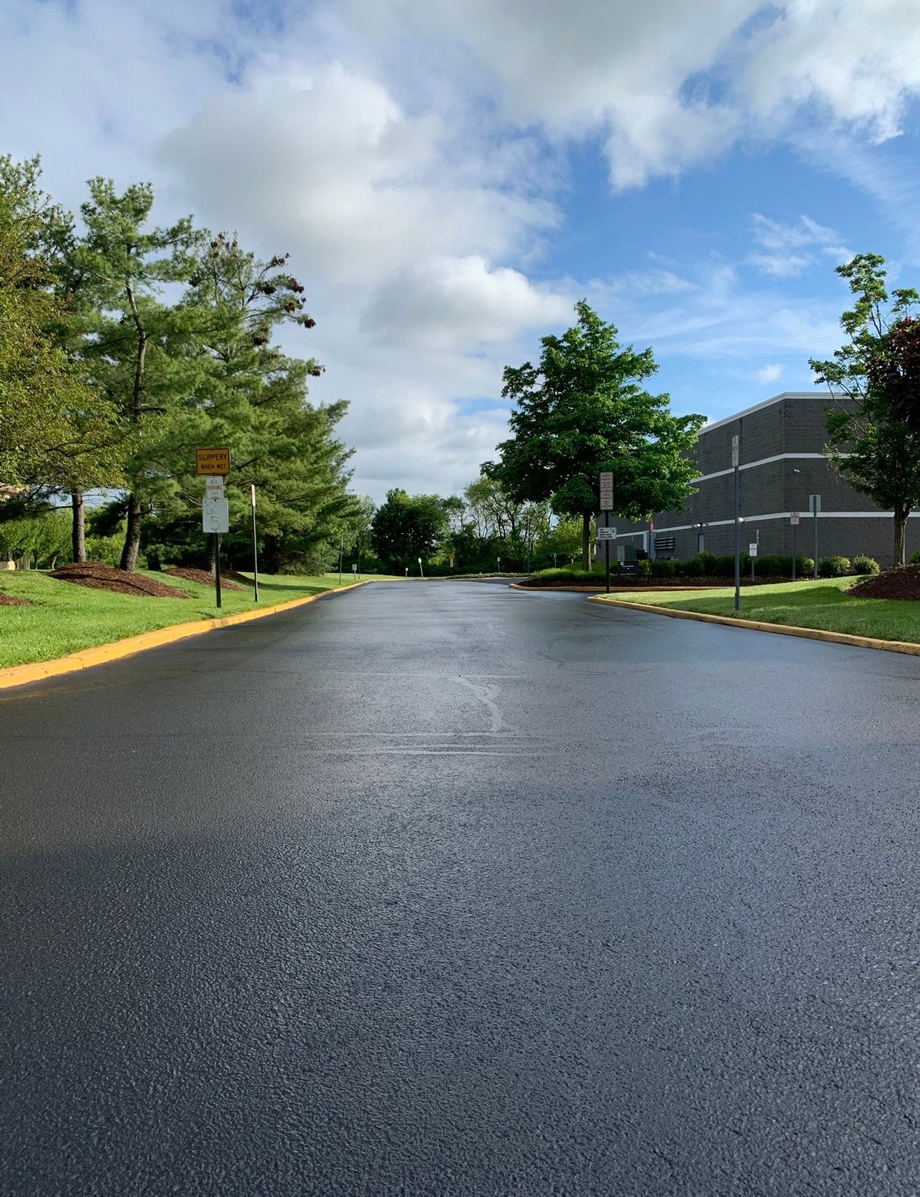A newly paved, dark asphalt road leads between green trees and grass under a blue sky with white clouds.