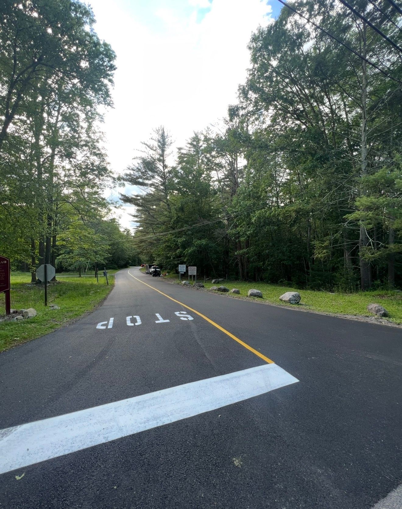 A paved road curves through a forest, featuring a white stop line and the word 