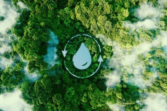 Water Drop Icon on Top of Forest