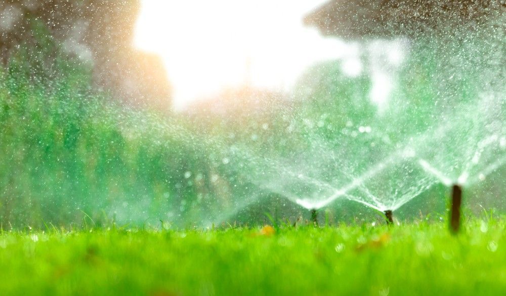 A Sprinkler is Spraying Water on a Lush Green Lawn — Superior Turf in Oak Flats, NSW