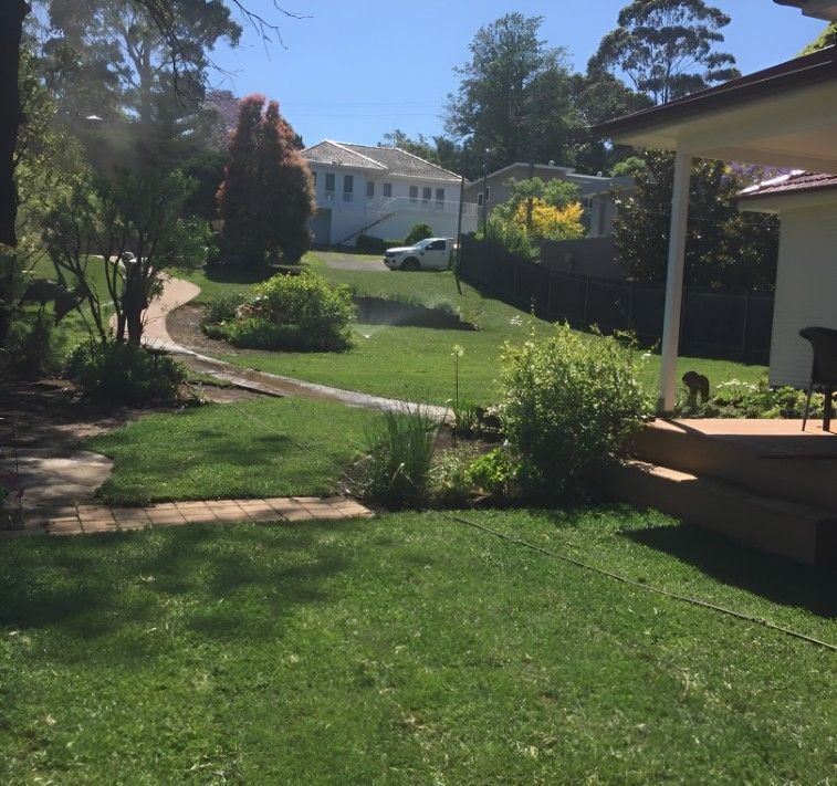 A Lush Green Yard With a House in the Background — Superior Turf in Oak Flats, NSW