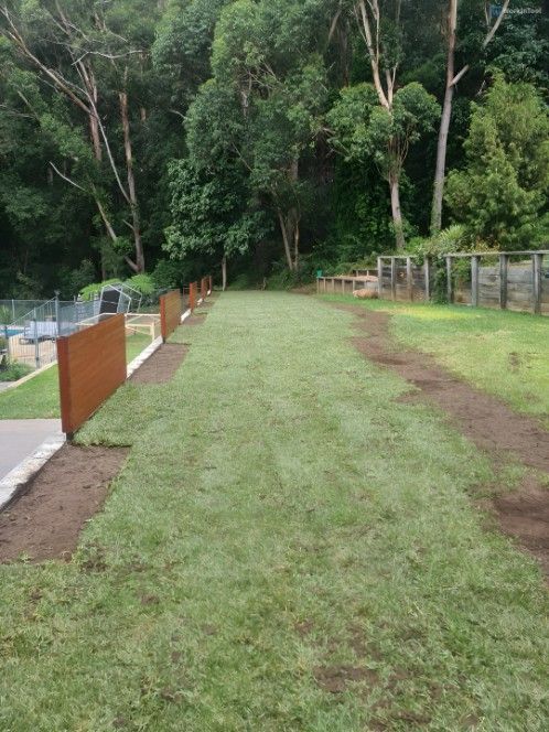 A Lush Green Field With a Fence and Trees in the Background — Superior Turf in Oak Flats, NSW