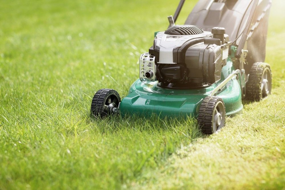 A Green Lawn Mower is Cutting a Lush Green Lawn — Superior Turf in Wollongong, NSW