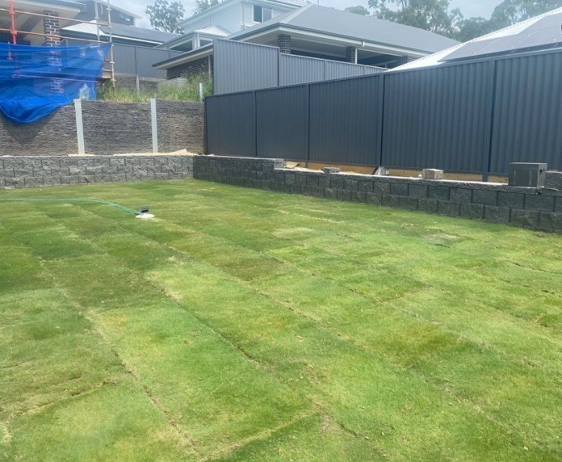 A Lush Green Lawn With a Black Fence in the Background — Superior Turf in Badagarang, NSW