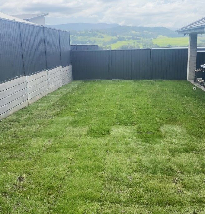 A Backyard With a Fence and a Lot of Grass — Superior Turf in Oak Flats, NSW