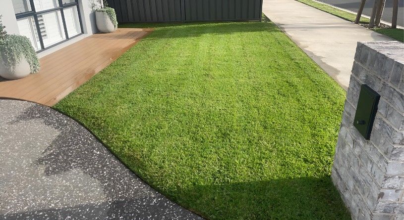 A Lush Green Lawn is Growing in Front of a House — Superior Turf in Oak Flats, NSW