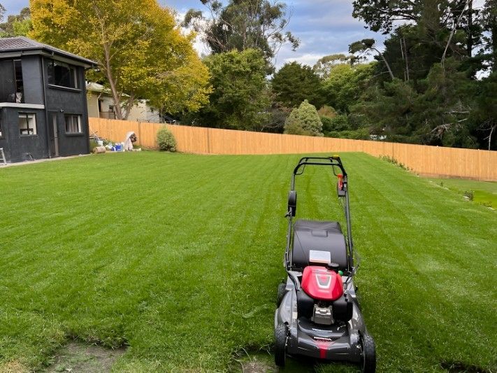 A Lawn Mower is Sitting in the Middle of a Lush Green Lawn — Superior Turf in Tullimbar, NSW