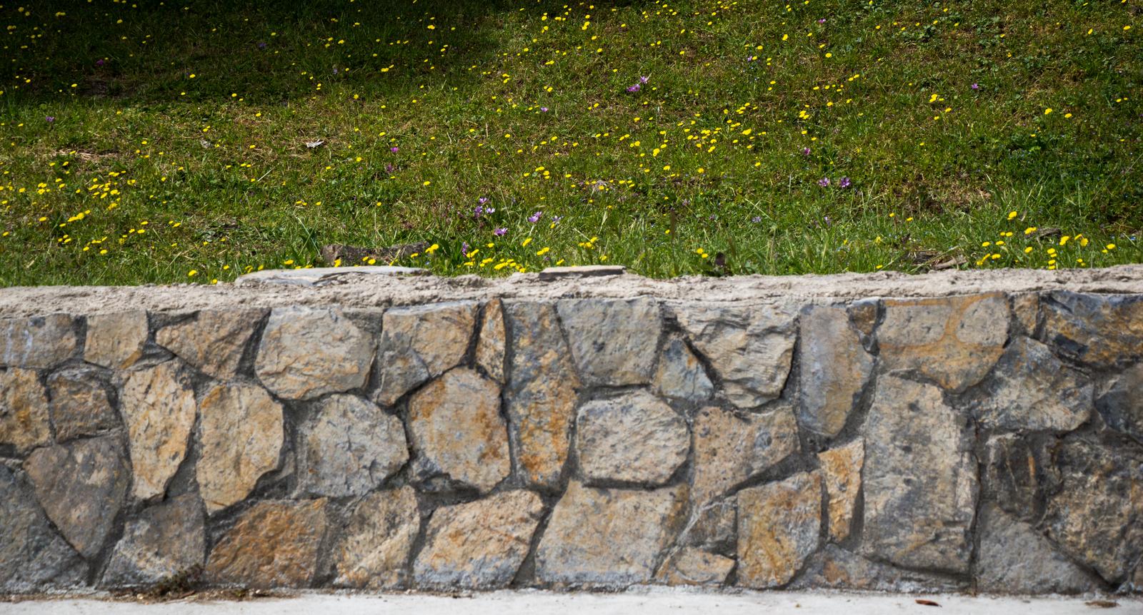 garden with retaining walls