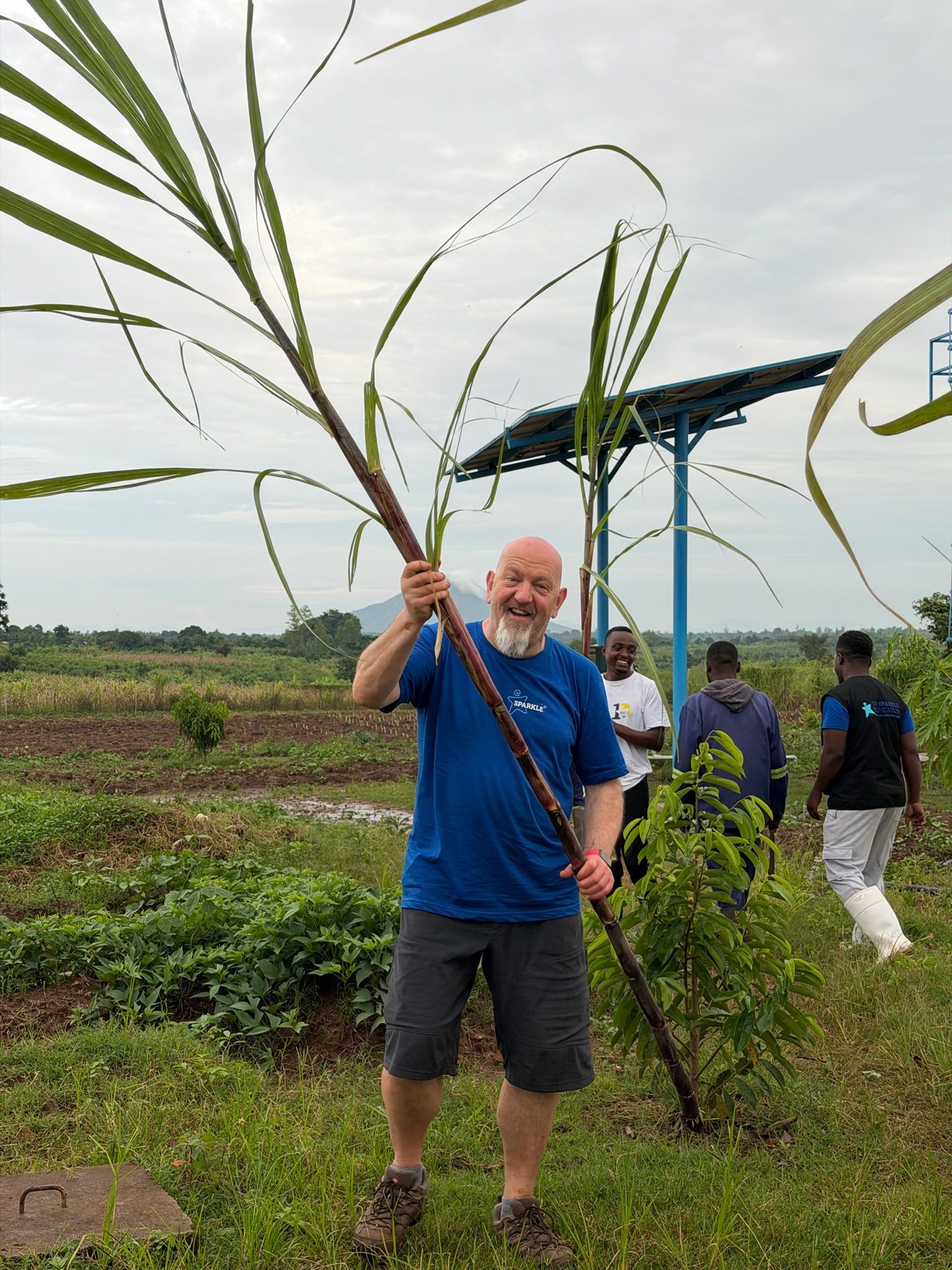 Stuart (the sparkle foundation volunteer) in a sugar cane field holding a tall sugar cane with his two hands. 