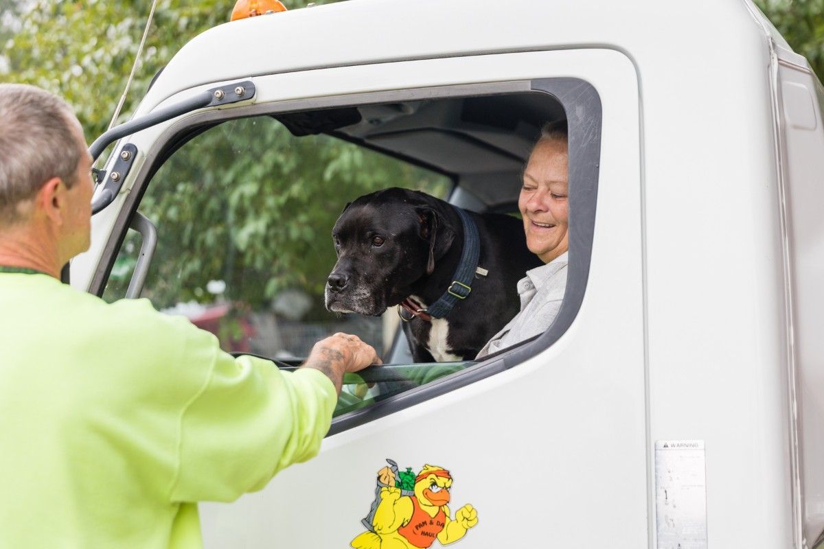 A red dumpster from pam and dan 's hauling