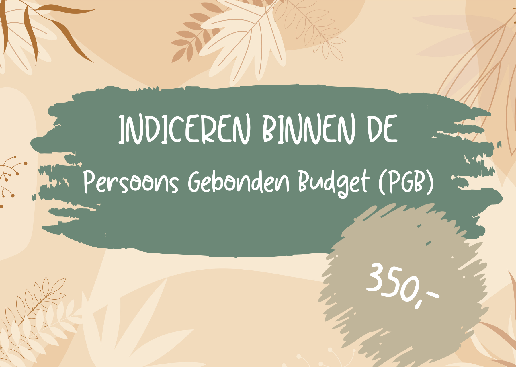 Indiceren binnen PGB (persoons gebonden budget) voor 350,-