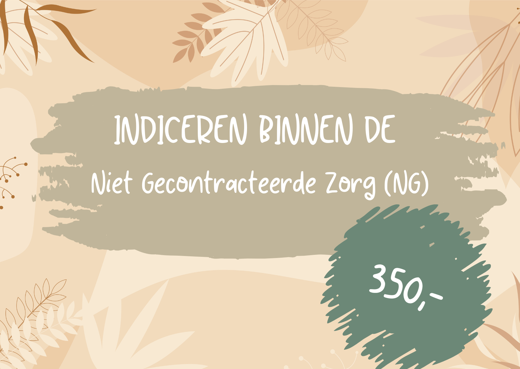 Indiceren binnen de Niet gecontracteerde Zorg (NG) voor 350,-
