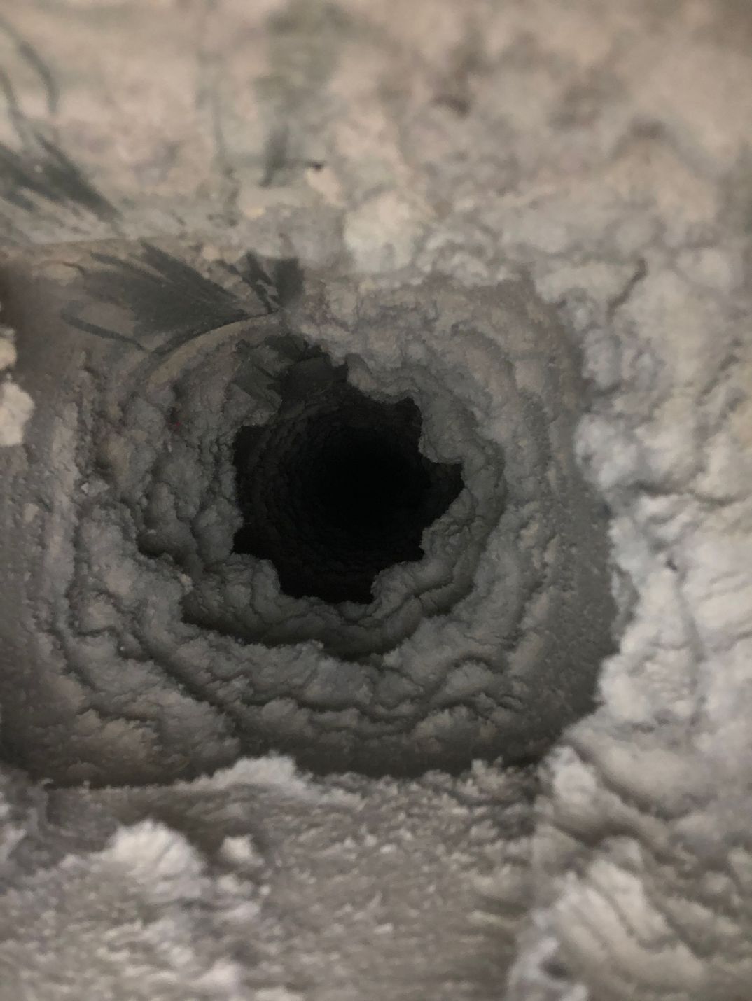 Dryer Vent Before ServiceNinjaz 