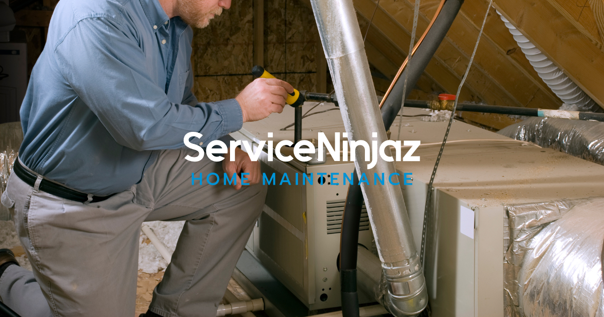 ServiceNinjaz attic inspection