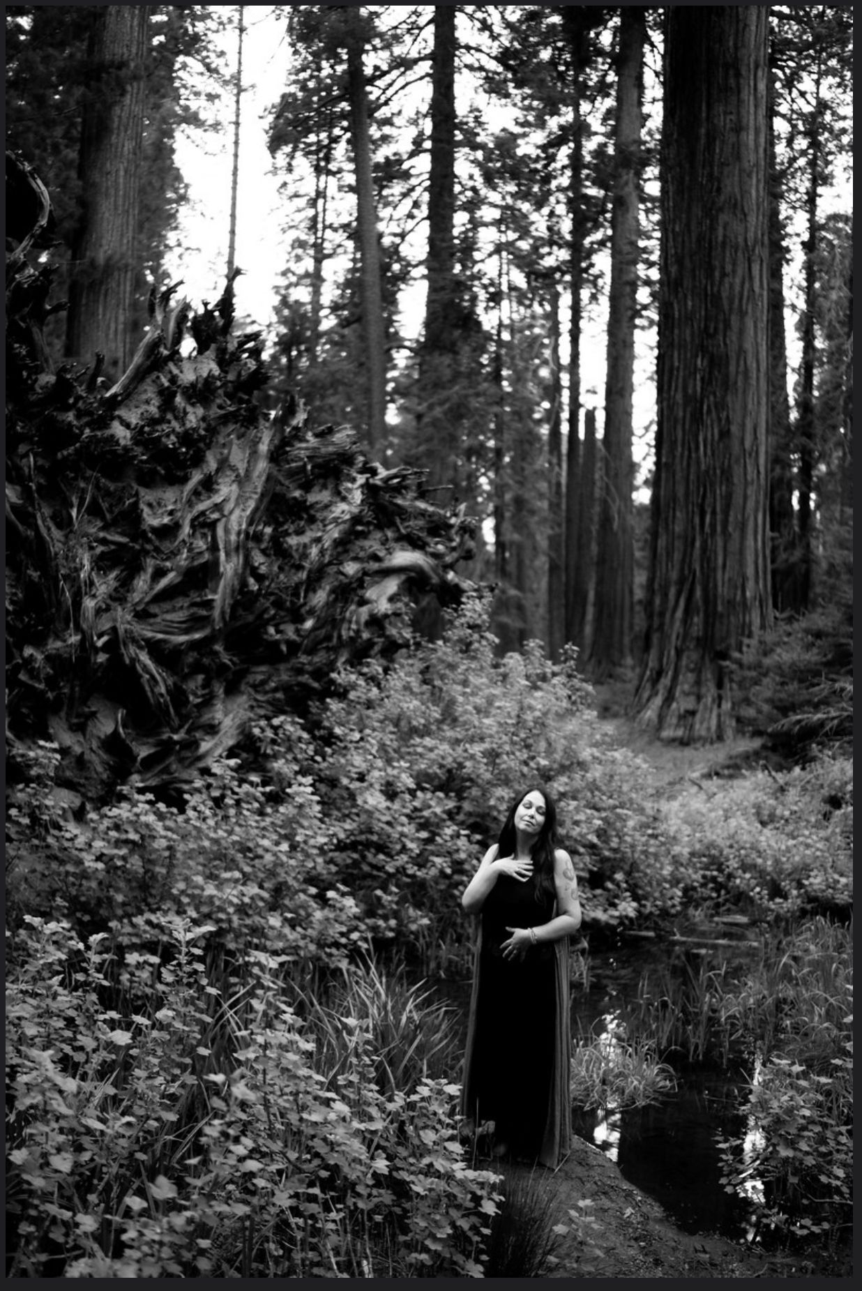 Woman in black dress stands in a redwood forest near a small stream.