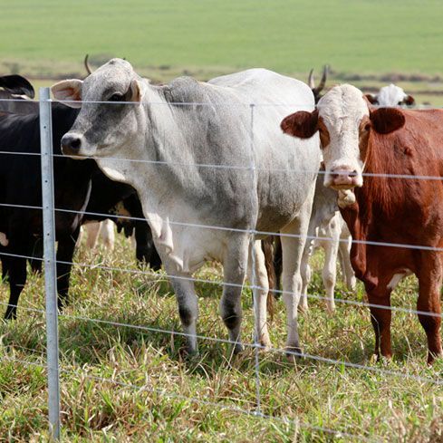 CERCO ELÉCTRICO Y PORTONES AUTOMÁTICOS CEYPASA