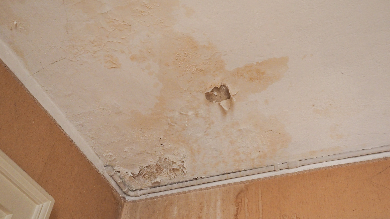 Water-damaged ceiling with peeling paint and a hole, stained brown, corner of a room.
