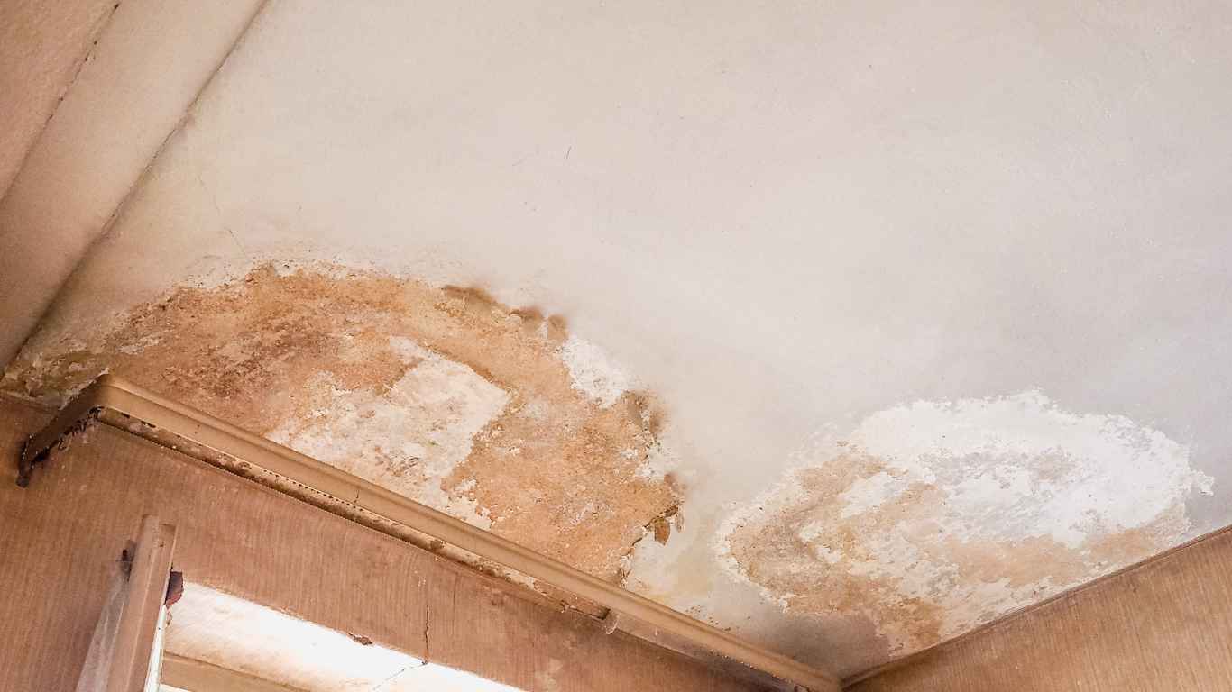 Water damage on a white ceiling with brown discoloration and peeling paint, above a wooden trim.