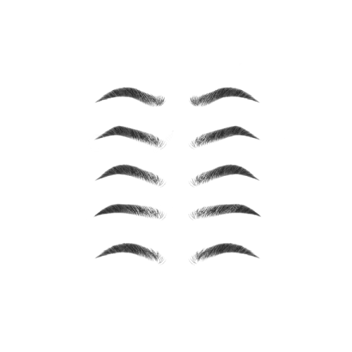 Find your Perfect Brow