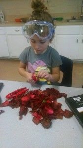 A little girl wearing goggles is sitting at a table playing with leaves.