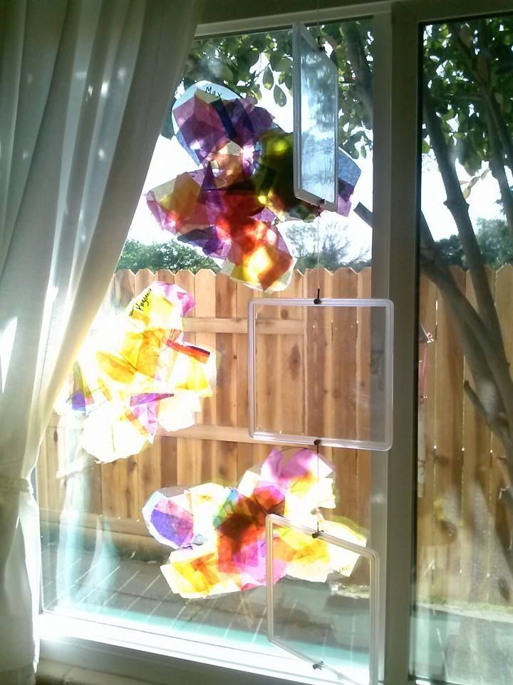 A window with a wooden fence in the background