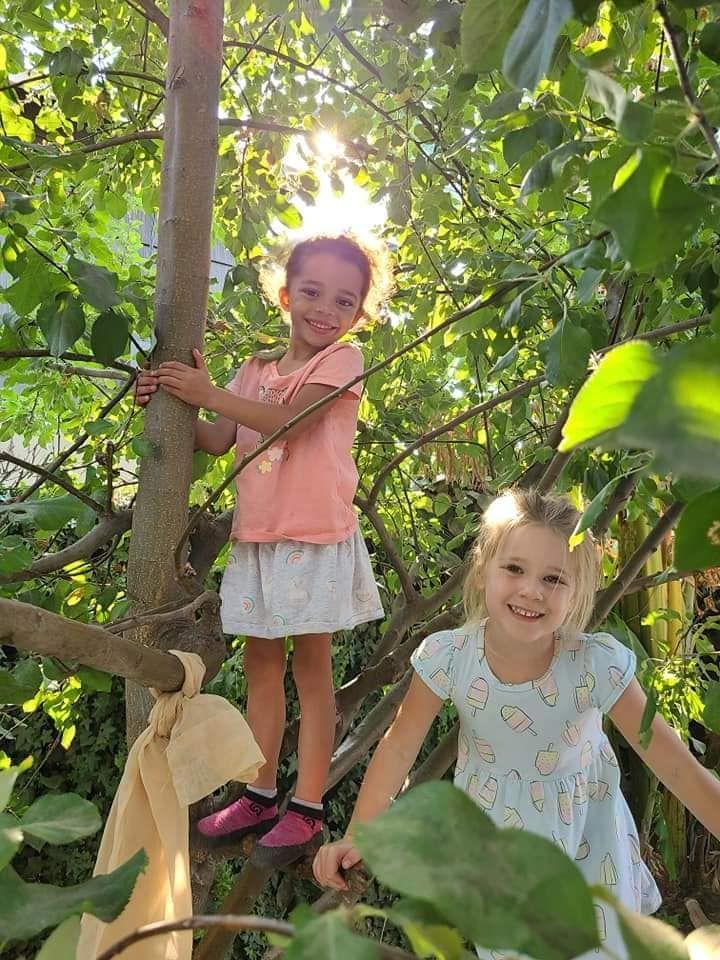 Two little girls are climbing a tree together.