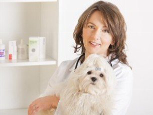 Vet with Dog - Pet Dental Care