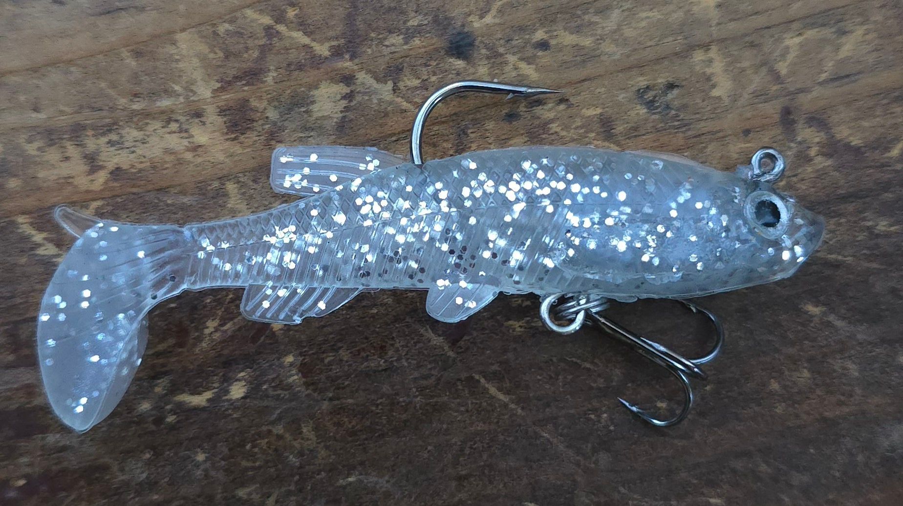 shiny baby barracuda