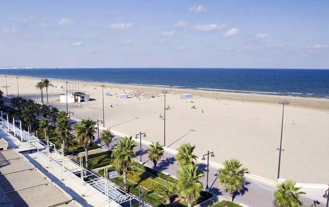 An aerial view of a beach with palm trees