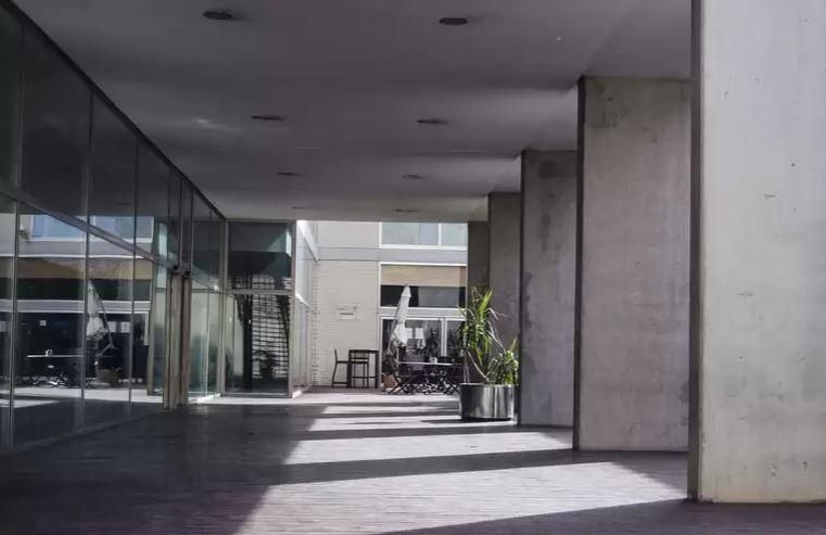 A narrow hallway between two buildings with a potted plant in the middle.